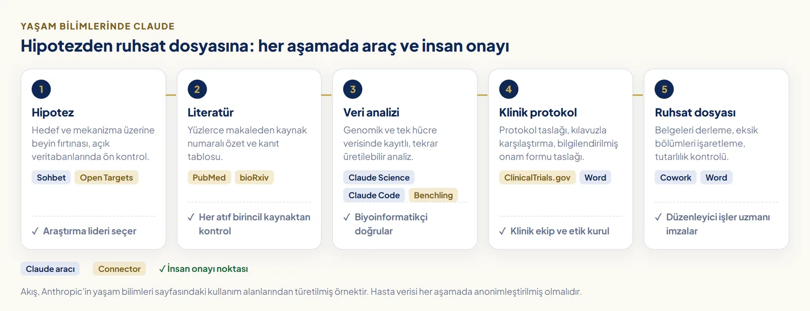 Ar-Ge iş akışında Claude'un yeri: hipotez, literatür taraması, veri analizi, klinik protokol ve düzenleyici dosya aşamaları; her aşamanın altında kullanılan Claude aracı ve insan onayı noktası